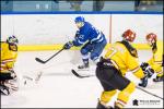 Photo hockey match Paris (FV) - Meudon le 16/12/2018