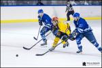 Photo hockey match Paris (FV) - Meudon le 16/12/2018