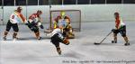 Photo hockey match Paris (FV) - Meudon le 16/01/2010