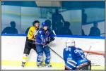 Photo hockey match Paris (FV) - Rouen II le 06/02/2016