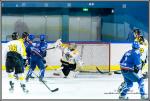 Photo hockey match Paris (FV) - Rouen II le 06/02/2016
