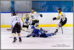 Photo hockey match Paris (FV) - Rouen II le 06/02/2016