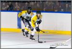 Photo hockey match Paris (FV) - Rouen II le 06/02/2016