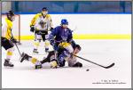 Photo hockey match Paris (FV) - Rouen II le 06/02/2016