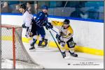 Photo hockey match Paris (FV) - Rouen II le 06/02/2016