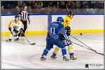 Photo hockey match Paris (FV) - Rouen II le 07/01/2017
