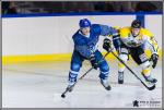 Photo hockey match Paris (FV) - Rouen II le 07/01/2017