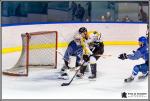 Photo hockey match Paris (FV) - Rouen II le 07/01/2017