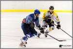 Photo hockey match Paris (FV) - Rouen II le 07/01/2017