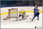 Photo hockey match Paris (FV) - Rouen II le 07/01/2017