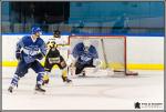 Photo hockey match Paris (FV) - Strasbourg II le 26/11/2016
