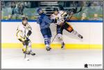 Photo hockey match Paris (FV) - Strasbourg II le 26/11/2016