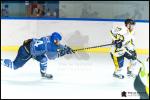 Photo hockey match Paris (FV) - Strasbourg II le 14/10/2017