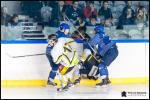Photo hockey match Paris (FV) - Strasbourg II le 14/10/2017