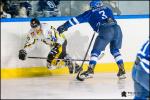 Photo hockey match Paris (FV) - Strasbourg II le 09/02/2019