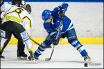 Photo hockey match Paris (FV) - Strasbourg II le 09/02/2019