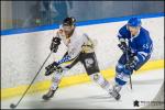Photo hockey match Paris (FV) - Strasbourg II le 09/02/2019