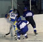 Photo hockey match Paris (FV) - Toulon le 22/01/2011