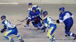Photo hockey match Paris (FV) - Toulon le 22/01/2011