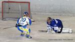 Photo hockey match Paris (FV) - Toulon le 22/01/2011