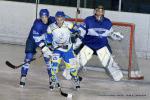 Photo hockey match Paris (FV) - Toulon le 22/01/2011