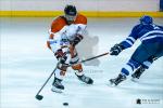 Photo hockey match Paris (FV) - Valenciennes le 11/01/2020