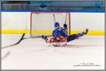 Photo hockey match Paris (FV) - Wasquehal Lille le 20/02/2016