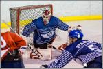 Photo hockey match Paris (FV) - Wasquehal Lille le 04/02/2017