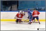 Photo hockey match Paris (FV) - Wasquehal Lille le 04/02/2017