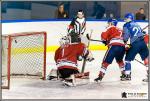 Photo hockey match Paris (FV) - Wasquehal Lille le 04/02/2017