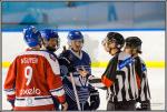 Photo hockey match Paris (FV) - Wasquehal Lille le 04/02/2017