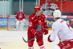 Photo hockey match Rapperswil-Jona - Lausanne le 29/10/2019