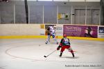 Photo hockey match Reims - Anglet le 15/11/2014