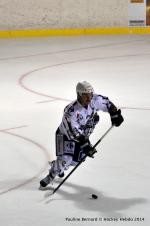 Photo hockey match Reims - Anglet le 15/11/2014