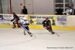 Photo hockey match Reims - Anglet le 15/11/2014
