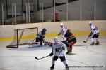 Photo hockey match Reims - Anglet le 15/11/2014