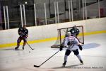 Photo hockey match Reims - Anglet le 15/11/2014
