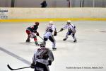 Photo hockey match Reims - Anglet le 15/11/2014