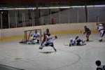 Photo hockey match Reims - Anglet le 15/11/2014