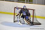 Photo hockey match Reims - Annecy le 11/01/2014