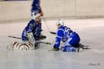 Photo hockey match Reims - Annecy le 16/01/2010