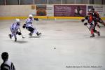 Photo hockey match Reims - Bordeaux le 06/12/2014