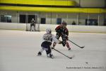 Photo hockey match Reims - Bordeaux le 18/03/2015