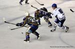 Photo hockey match Reims - Brest  le 17/11/2012