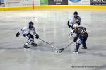 Photo hockey match Reims - Brest  le 17/11/2012