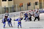 Photo hockey match Reims - Cergy-Pontoise le 25/02/2012