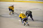 Photo hockey match Reims - Dunkerque le 14/09/2013