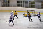 Photo hockey match Reims - Dunkerque le 17/01/2015