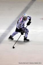 Photo hockey match Reims - Dunkerque le 17/01/2015
