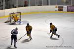 Photo hockey match Reims - Dunkerque le 17/01/2015